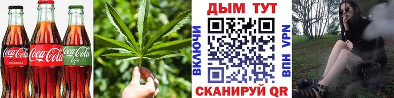 где купить   Назарово  Cannafood конопля 