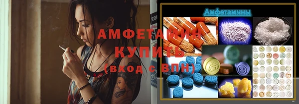 ПСИЛОЦИБИНОВЫЕ ГРИБЫ Вязники