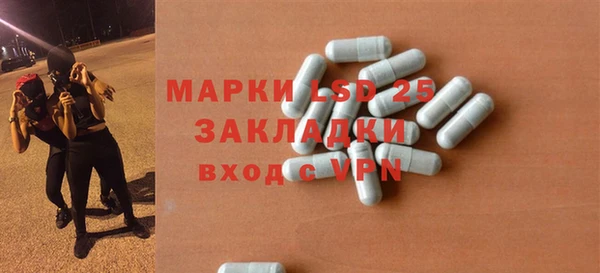 ПСИЛОЦИБИНОВЫЕ ГРИБЫ Вязники