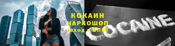 метадон Вяземский