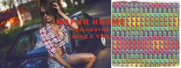 ПСИЛОЦИБИНОВЫЕ ГРИБЫ Вязники