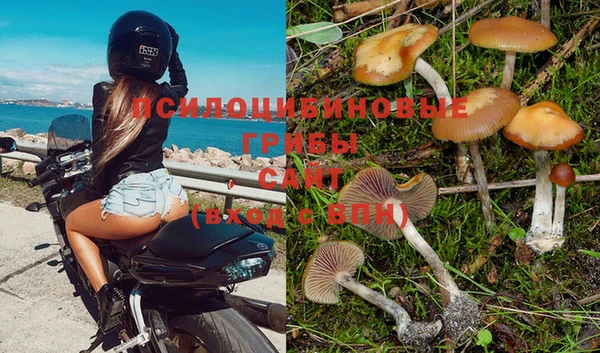 альфа пвп Вязьма