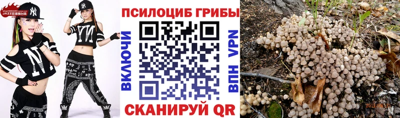 Псилоцибиновые грибы MAGIC MUSHROOMS  закладка  Назарово 